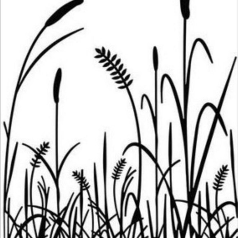 Darice Embossing Folder Grass